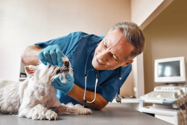 Best Emergency Tooth Extraction in Mount Sterling, OH