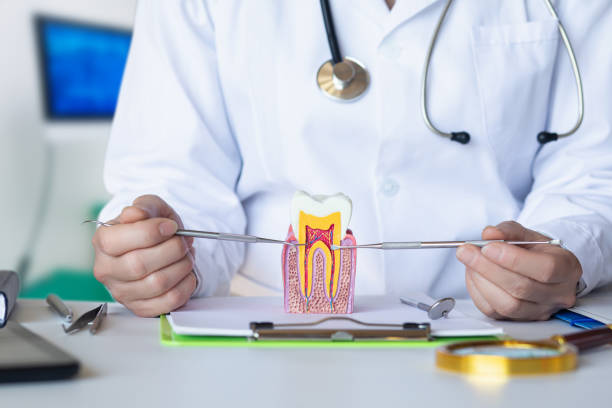 Best Emergency Dental Care for Broken or Chipped Teeth in Mount Sterling, OH